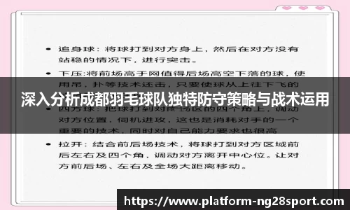 深入分析成都羽毛球队独特防守策略与战术运用